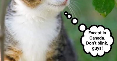 That's the way it is in Canada, eh?