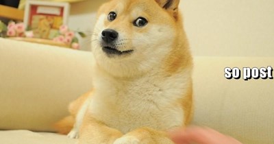 much Caturday very Kitteh