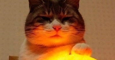 You're future is fuzzy