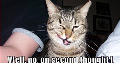 No body likes a Ketteh Kritick