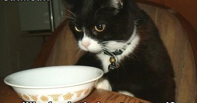 Breakfast of champions?