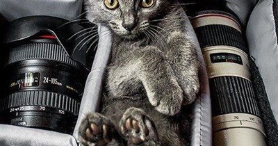 My 'kit' is now complete