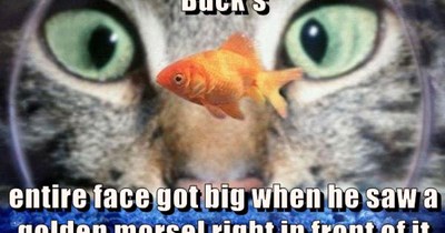 Buck's entire face got big