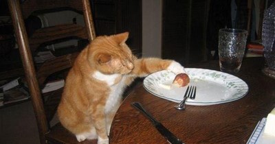 The man's a food vacuum