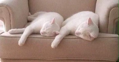 Synchronized Sleeping