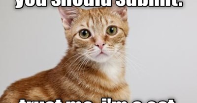 So says your feline overlord