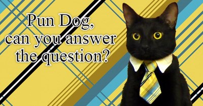 Business cat asks pun dog to answer