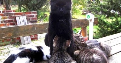 I'll lay out for the spaying costs