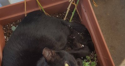 Hope we don't have another frost!