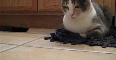 Who disturbs my nap?