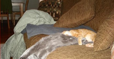 ebenchually gwabity taeks eveyting