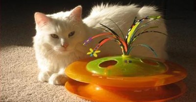 diz fwying sawsa musta hit a byrd