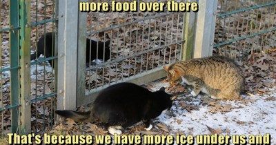 I'm filing a complaint