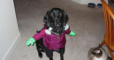 mus be sum kinda haf bweed