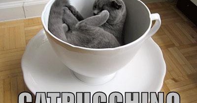 Right on the meowrning