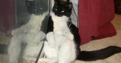 hope ahm na rinkling mah tukzeedo