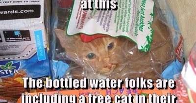 Come over here and look at this