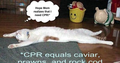 His Plan Set in Motion, Trevor Awaits a Food Delivery