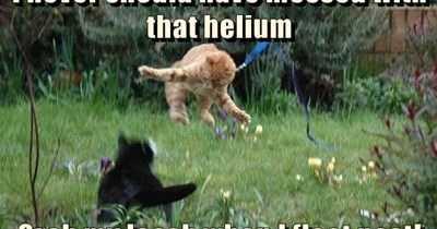 Never mess with helium