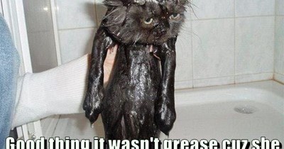 All this for a tiny spot of jam