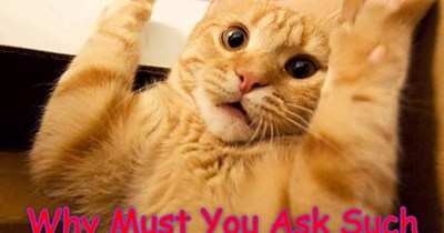 Oh. That's Right. You Can't Help It.