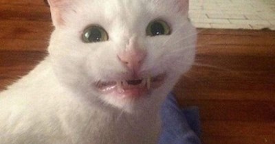 Mailmen are not playthings