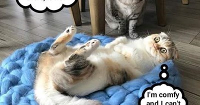 Doesn't look promising