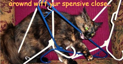 Innocence.. Hims lacks it!