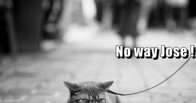 No way Jose