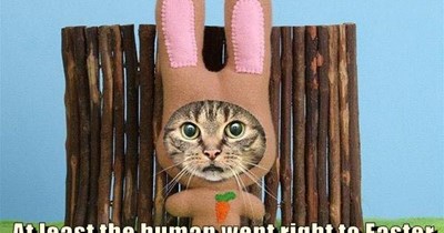 I want to go off, but this could be worse