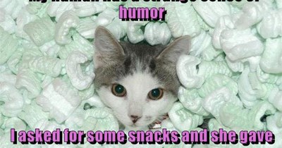 Asked for some snacks