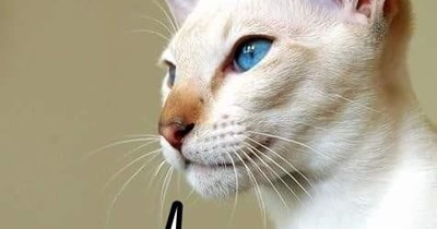 "and when you call out the game of their claim, boy - "