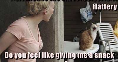 Do you feel like giving me a snack now?