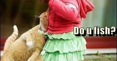 Do u have any fish to share?