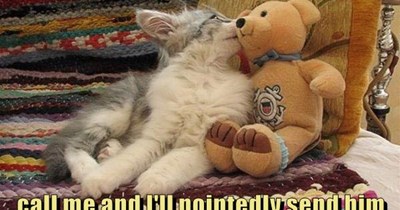 If the dog comes sniffin' around you