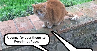 Aren't you a ray of sunshine