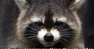 The humans suspect nothing!