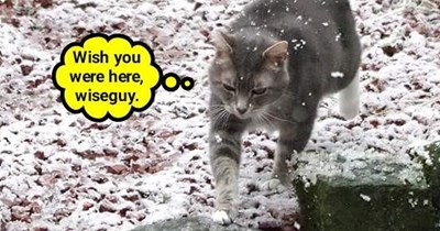 Wouldn't you rather be in Mesa?