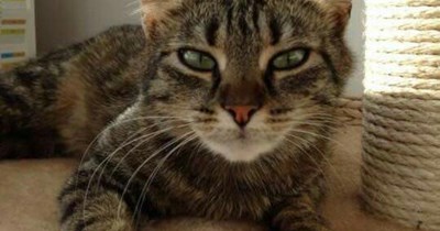 Why are you bringing home undesirables?