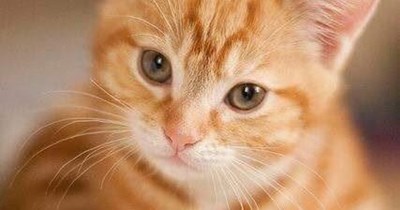 Why yes, I do enjoy managing you.