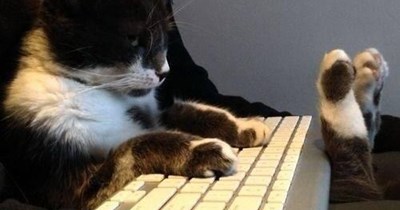 i can haz monitoring?