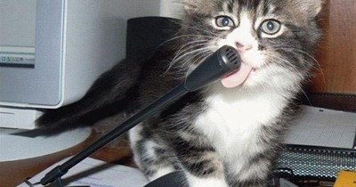 Workin' right after Madman Mark