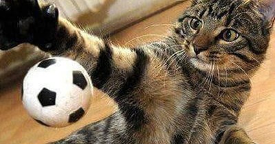 Invisible tetherball pole and string