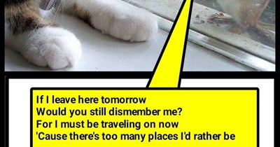 "Flee Bird" (TTO "Freebird" by Lynyrd Skynyrd)