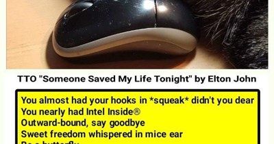 "Mouse Mischief" (TTO "Someone Saved My Life Tonight" by Elton John)