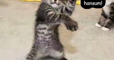 Spring Flings just around teh corner at KKPS.