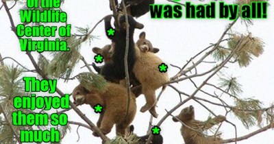 Awines habs a beary gud thyme.  (u c wut ai did thir?)