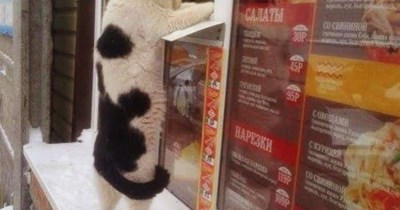 Mi munnies not good enuff for u?