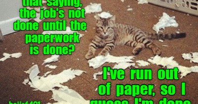 THAT IS, UNLESS YOU GET ME MORE