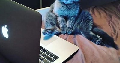 TECHNOLOGICAT